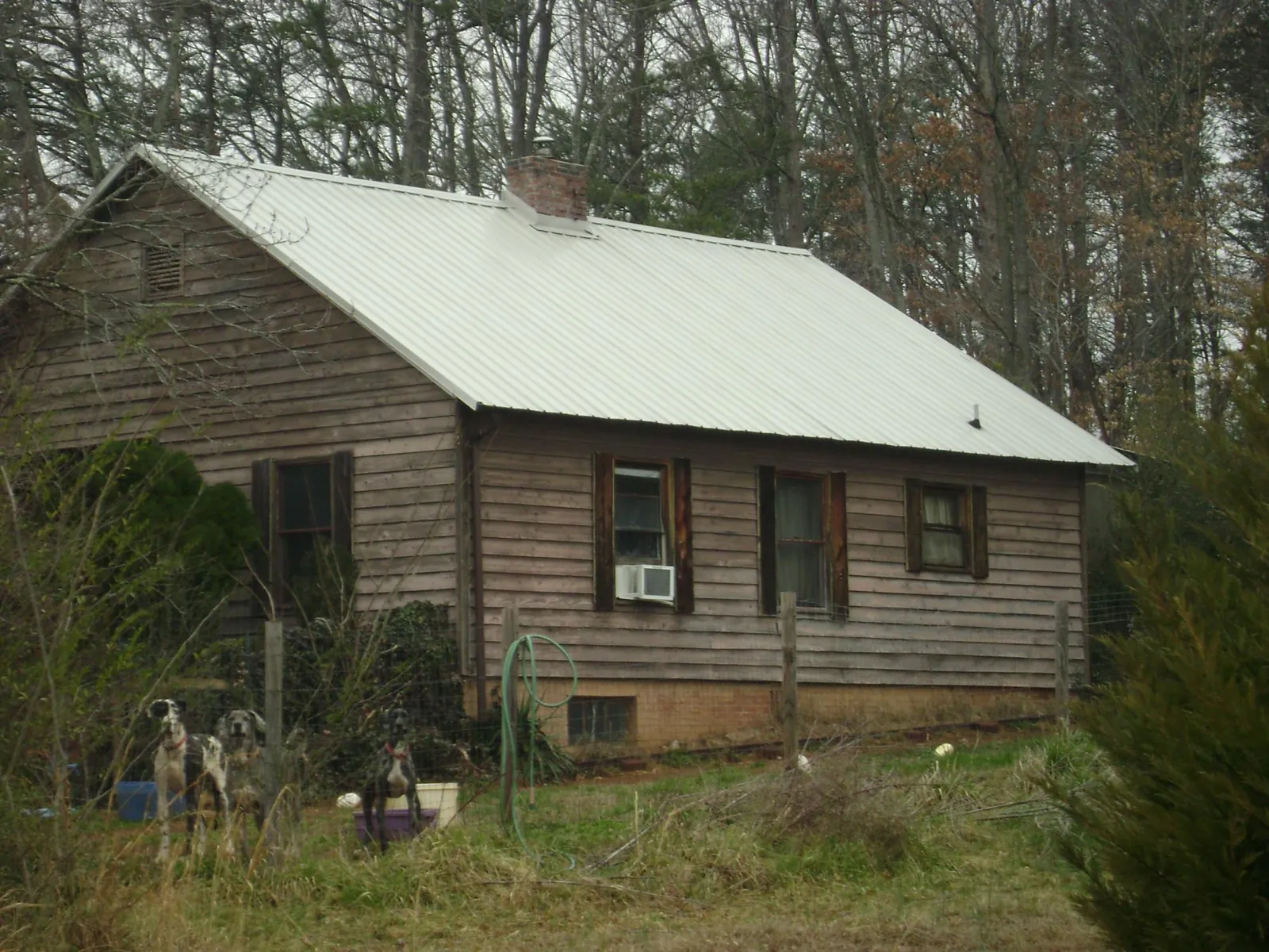 White metal roof on an old wood sided farmhouse, from a Asphalt Shingle Roof Repair job in Harmon